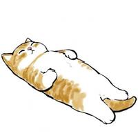 简单了解JupyterLab的使用方法 - 知乎