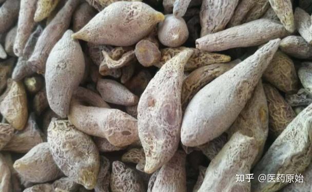 带你识别郁金 - 知乎