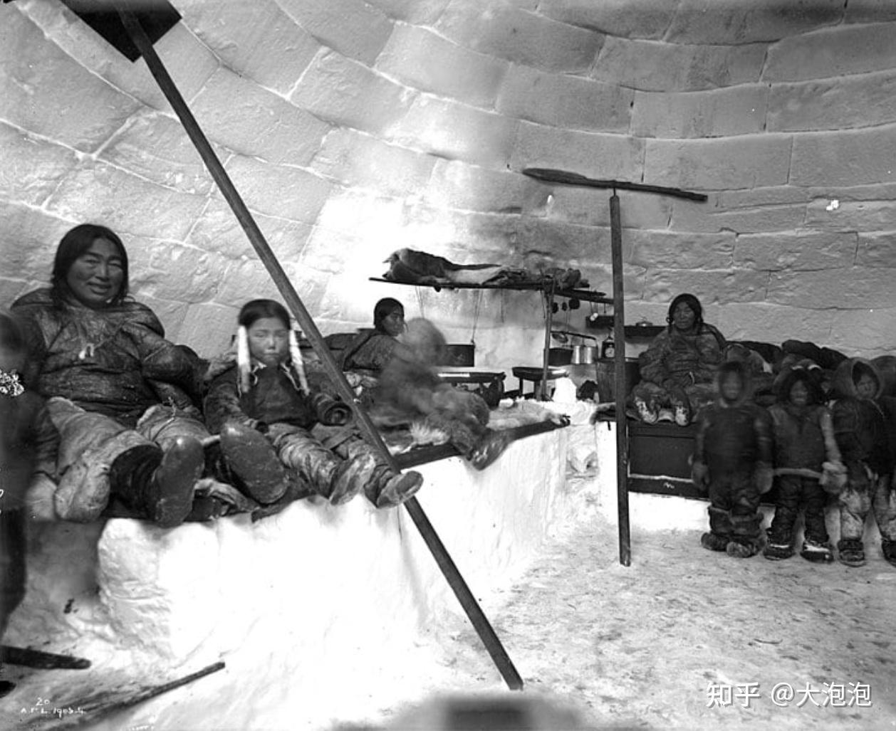 读书 | 极地原住民的消亡史_哈米特_因纽特人_荒原