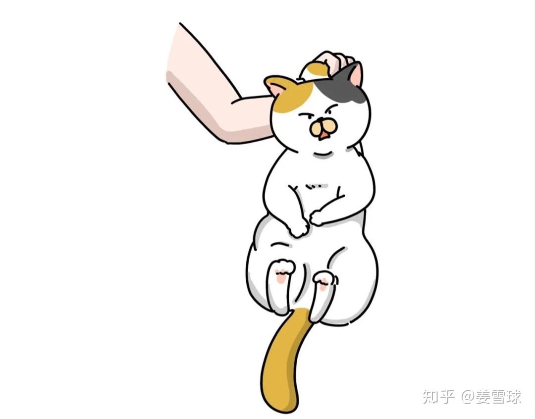 抱起猫的正确姿势是怎样? - 知乎