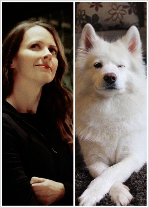 疑犯追踪中root出现过那些身份牌?