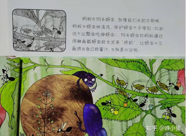 玩法一:读书,讲绘本故事 实践活动