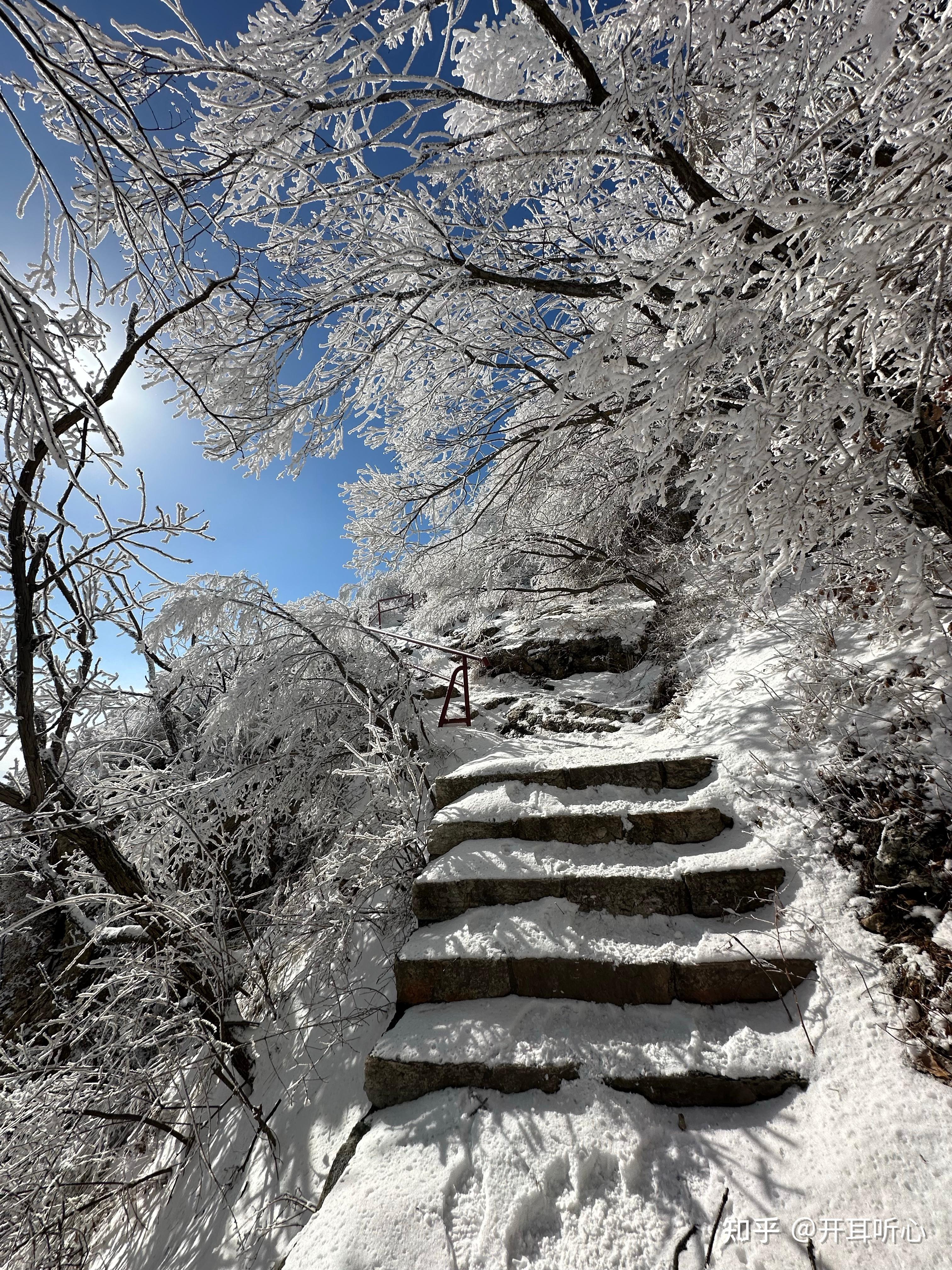 雪景的图片景色大图图片