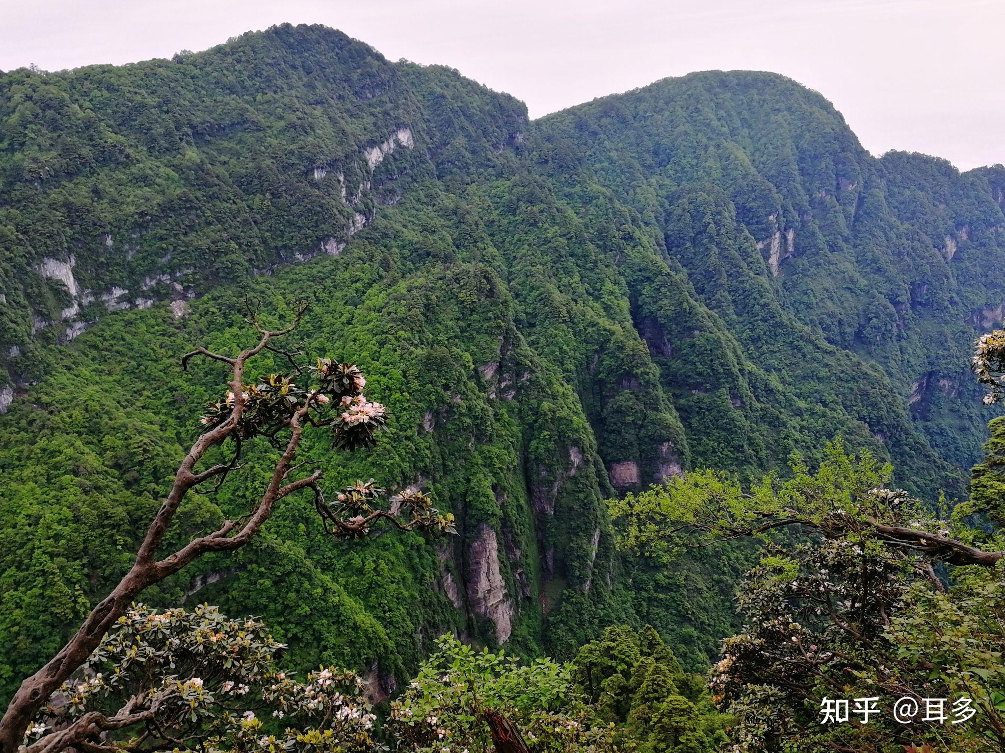 登山的时候,你拍过什么好看的山色?