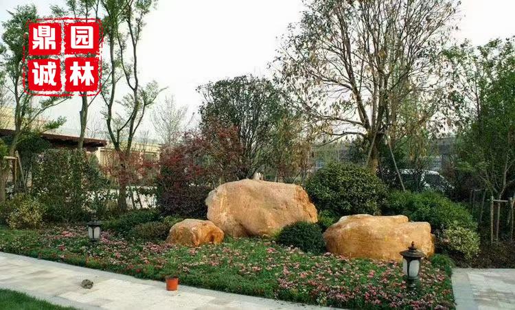 黄蜡石有什么用途与特点?黄蜡石大自然风景打造假山流水石 - 知乎