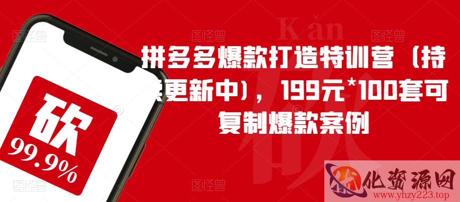 拼多多爆款打造特训营（持续更新中)，199元*100套可复制爆款案例