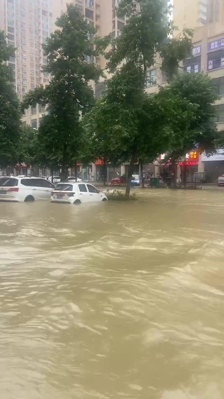 河南周口暴雨图片