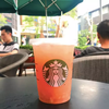老板的红豆布丁男