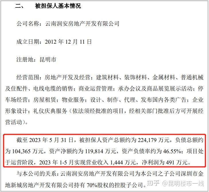 负债约10亿!金地十一峯贷款5亿,集团做担保! - 知乎
