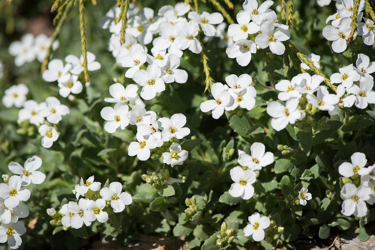 铺瓷砖垫层厚度是多少