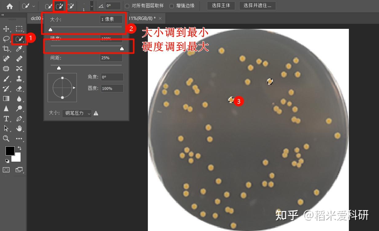 计数？你可以选它们！ - 知乎