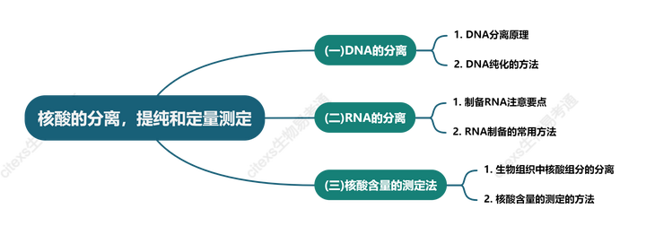 生物化学高频考点(二十六)之核酸的分离,提纯和定量测定内容及思维导图 - 知乎