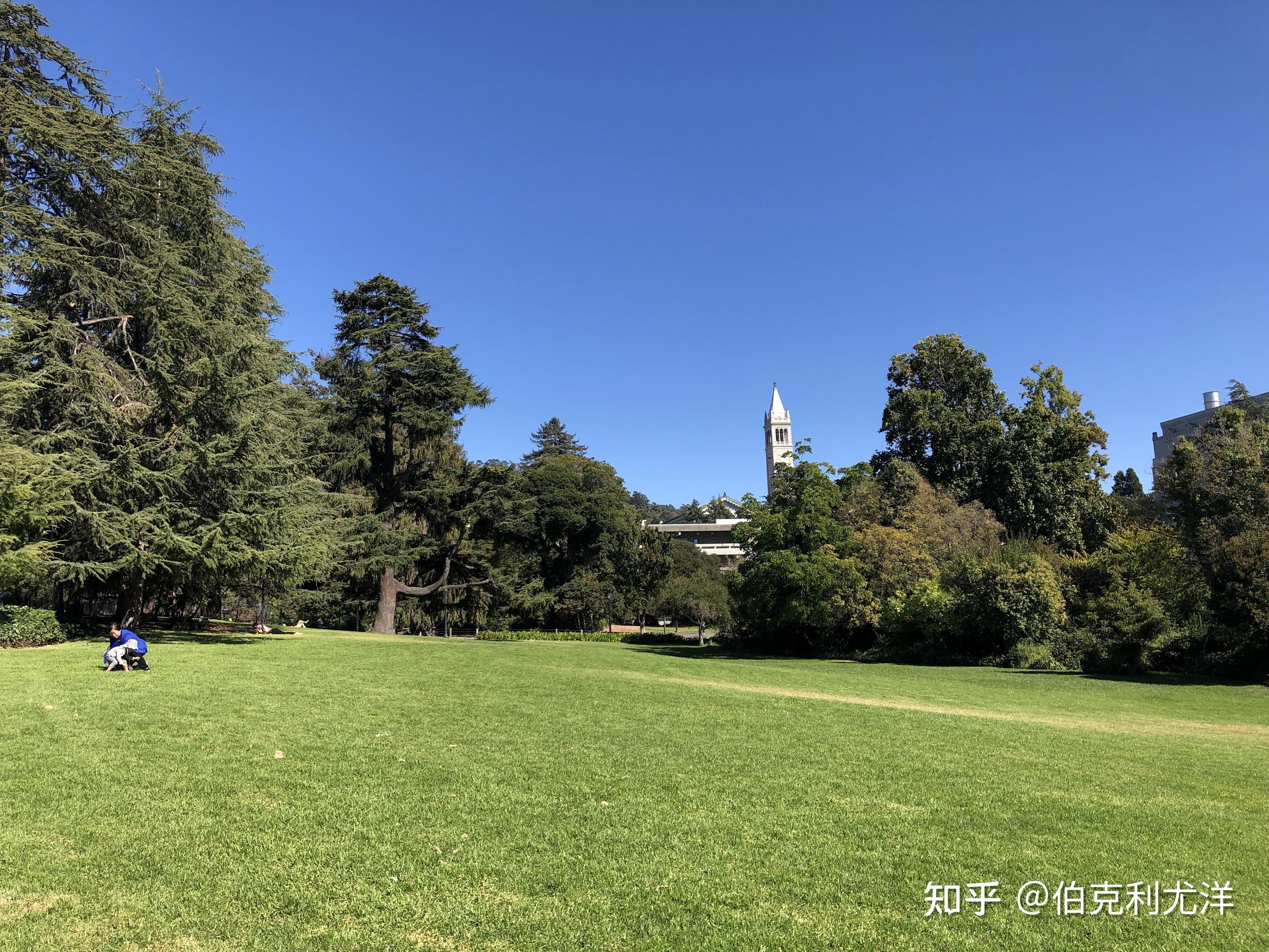 在加州大学伯克利分校 (UC Berkeley) 就读是怎样一番体验? - 知乎