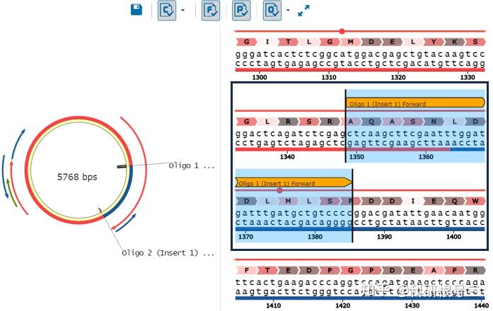 PCR、qPCR、RT-PCR引物设计在线工具盘点,手把手教你设计各种引物! - 知乎