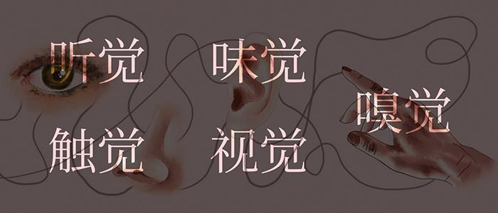 什么是“五感设计”？ - 知乎