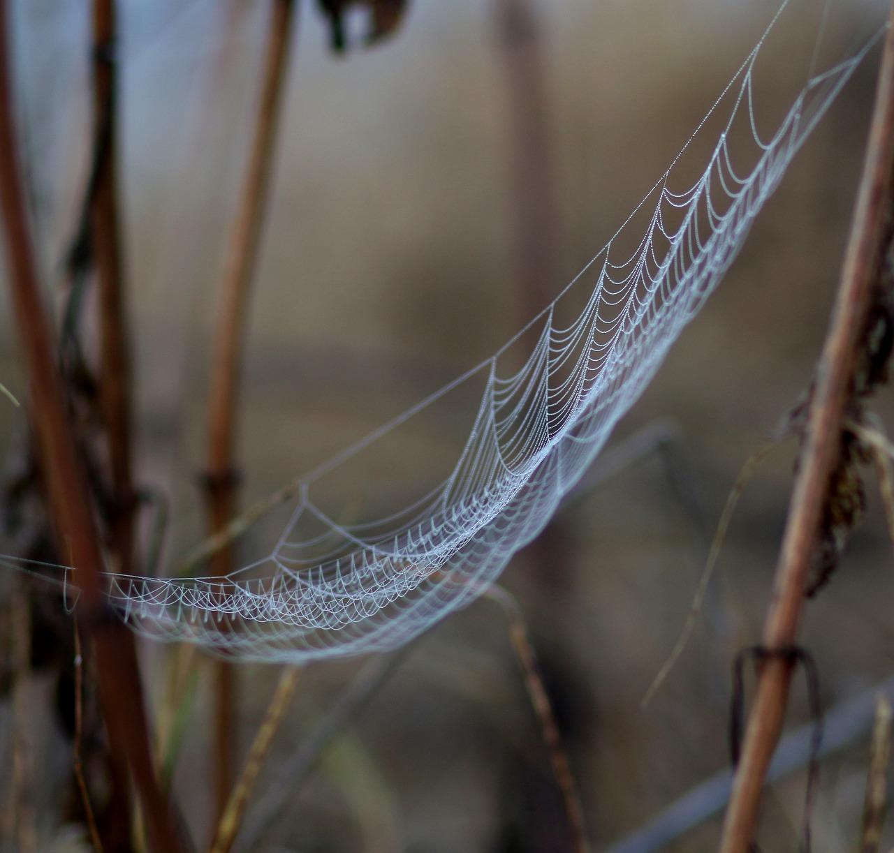 电线黏贴步骤解析