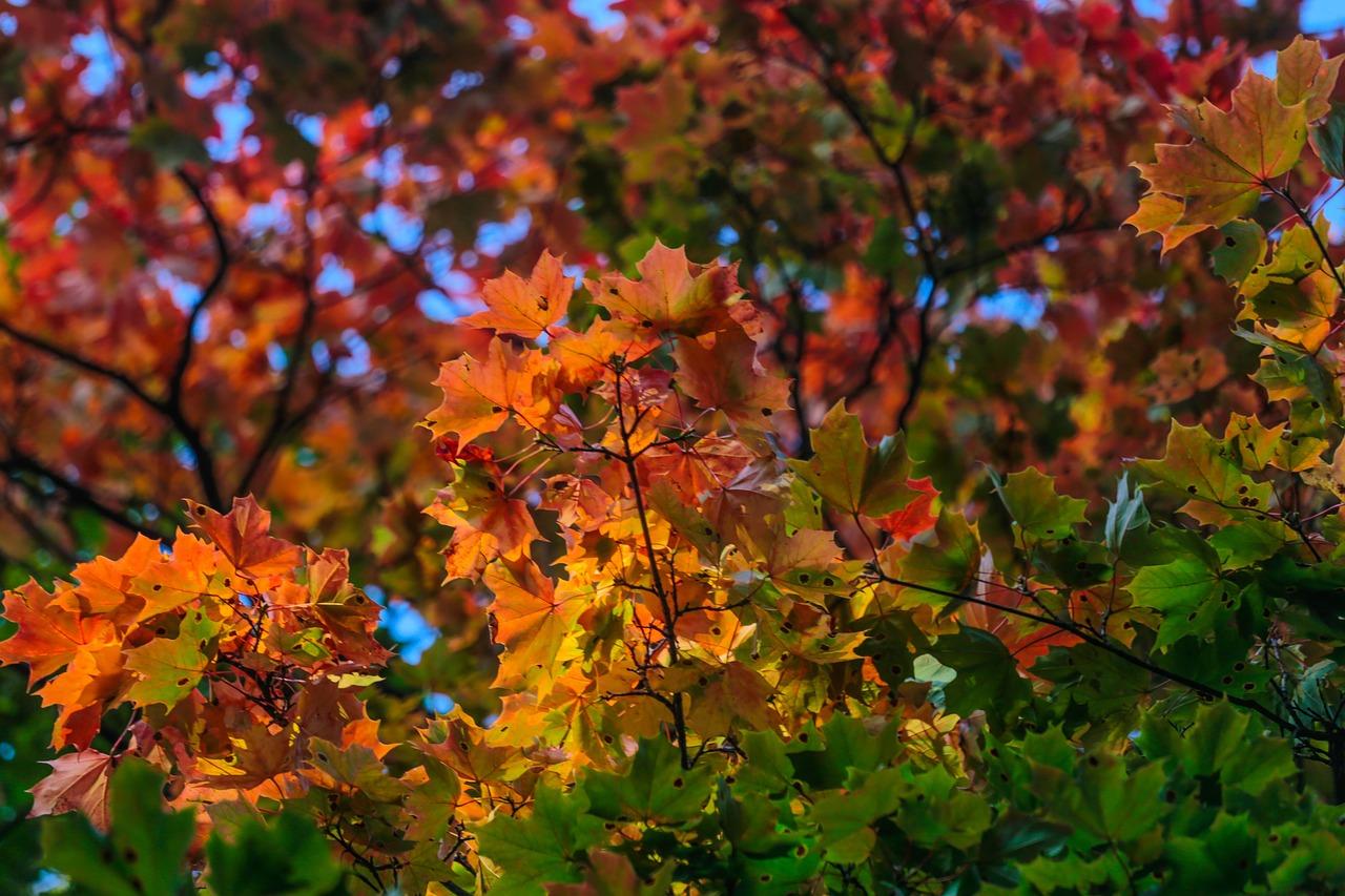 智能家居系统介绍
