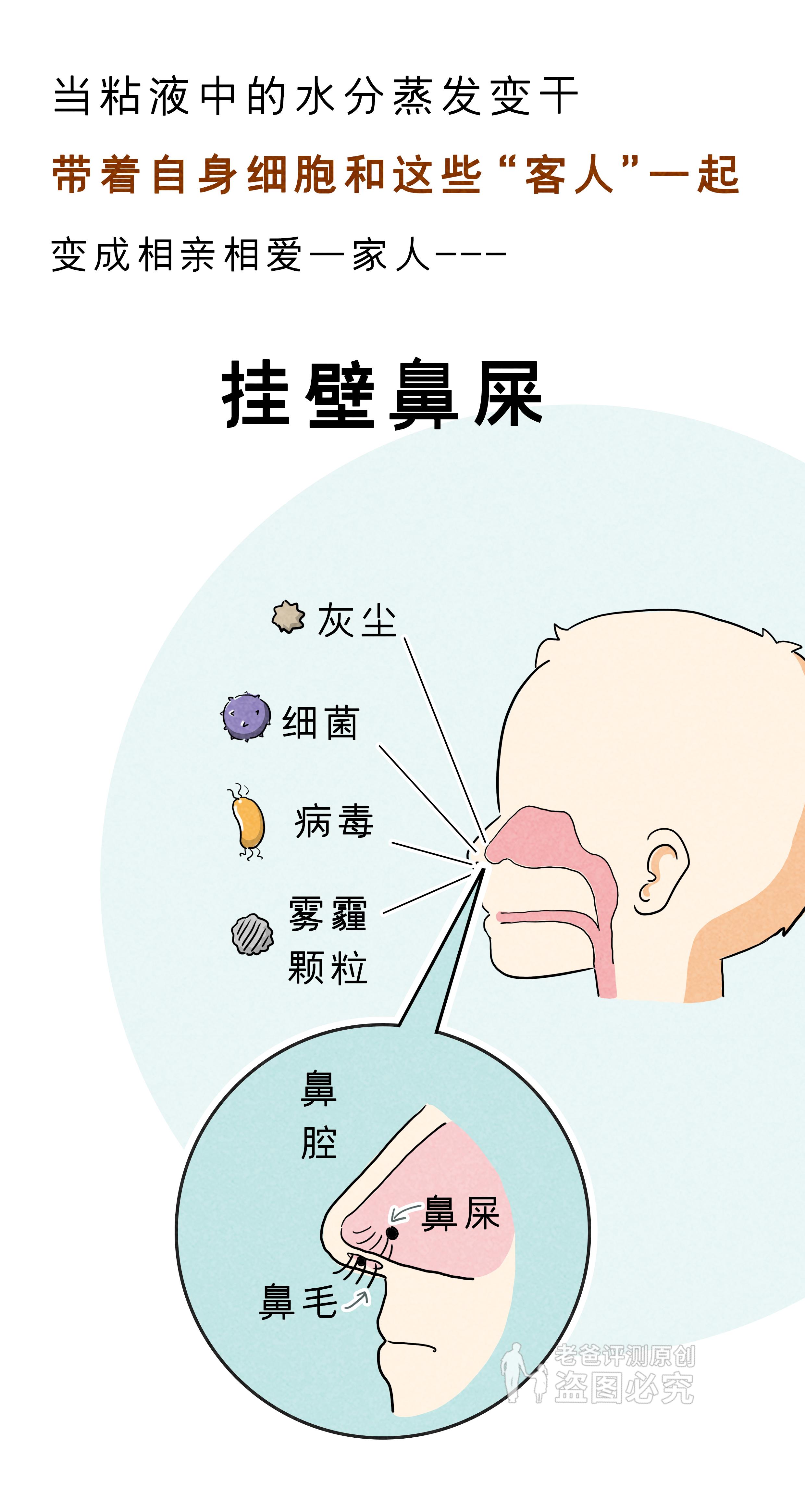 挖鼻孔真的会让鼻子变大吗？ - 知乎
