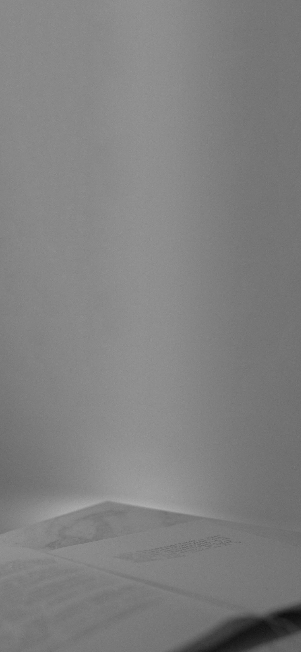 有类似这样灰白主题的壁纸图片嘛