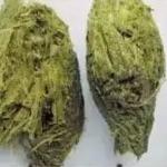 为什么生物拉出来的排泄物都是臭的，没有其他味道的？
