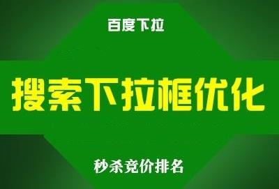 百度未记录快照日期引发困扰，算法优化还是创新举措？