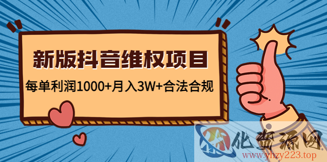 新版抖音维全项目：每单利润1000+月入3W+合法合规插图