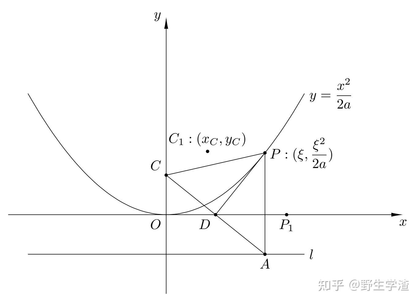 悬链线结构力学图片