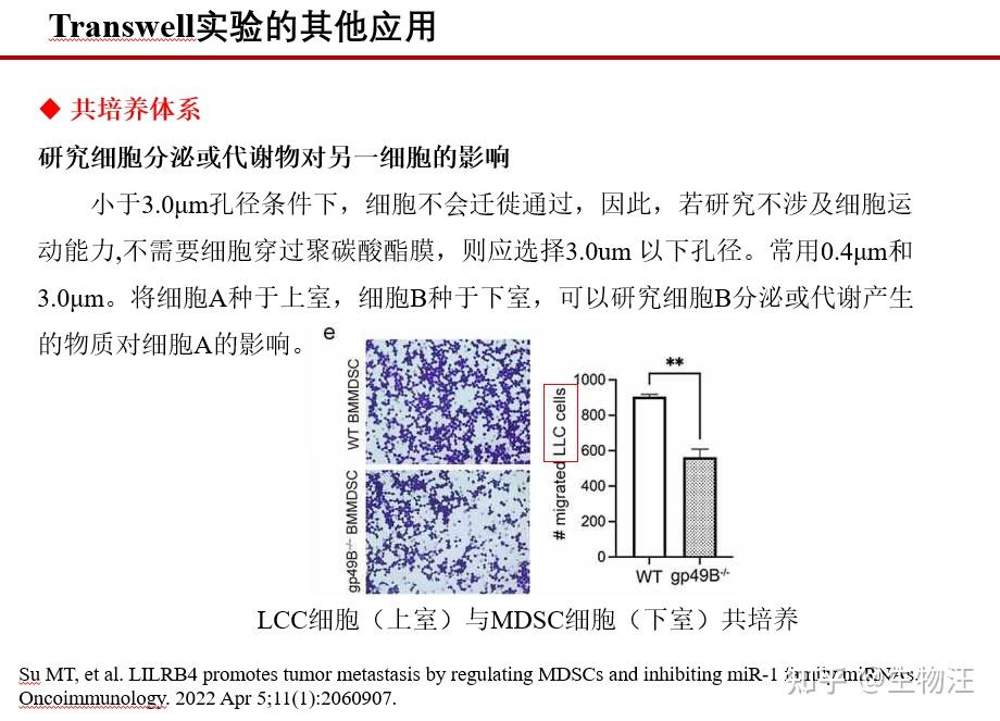 请问有transwell实验详细的操作步骤吗