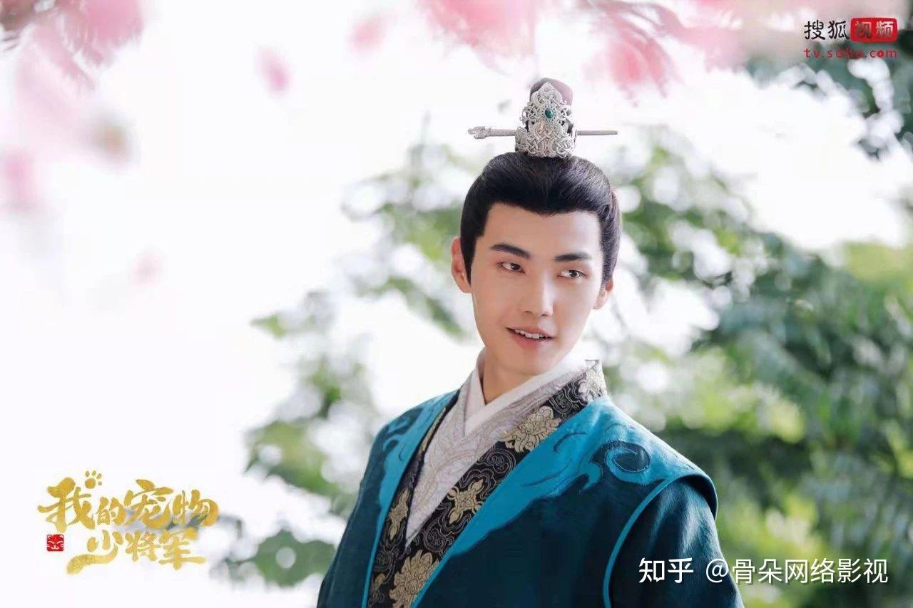 如何评价肖凯中,田曦薇主演的古装玄幻甜宠剧《我的宠物少将军》?