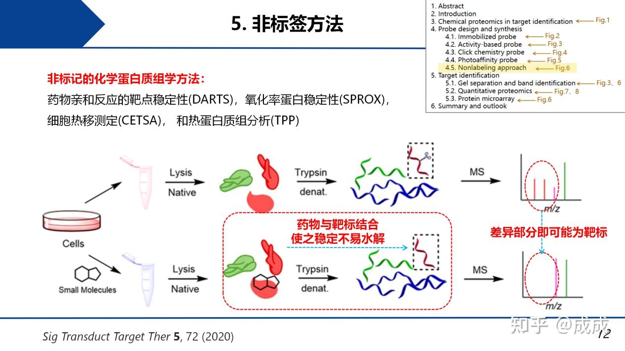 文献解读| 用化学蛋白质组学方法鉴定天然药物的靶标:探针合成、钓靶和蛋白质鉴定 - 知乎