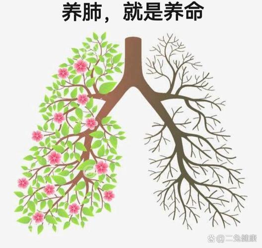 经常咳嗽的人，平时吃什么能补肺？ - 知乎