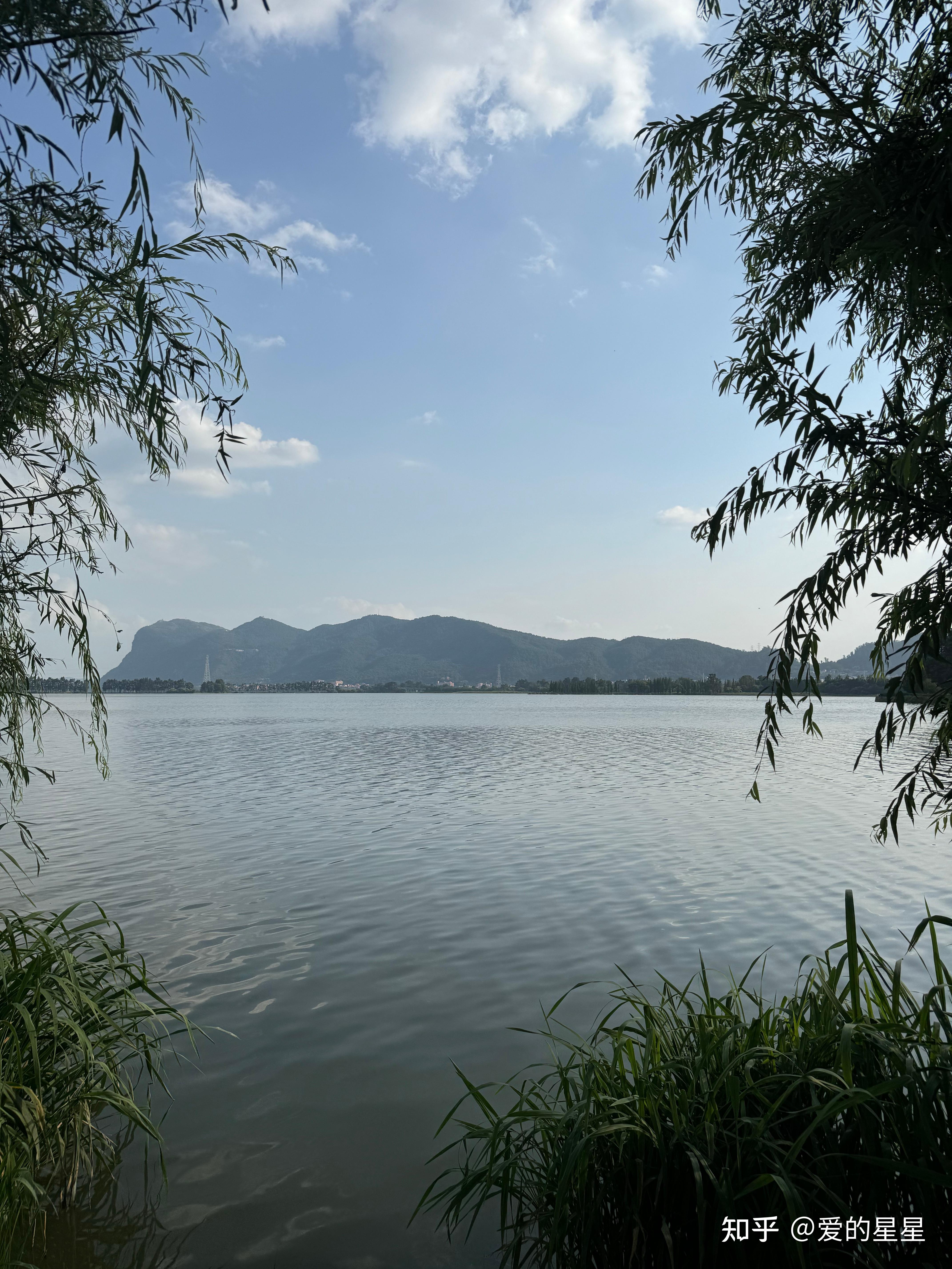 可以分享一张你相册里的风景照吗