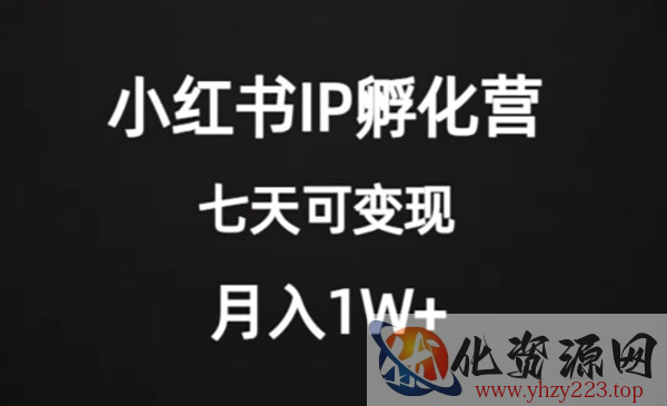 《小红书IP孵化营项目》超级大蓝海，七天即可开始变现，稳定月入1W+_wwz