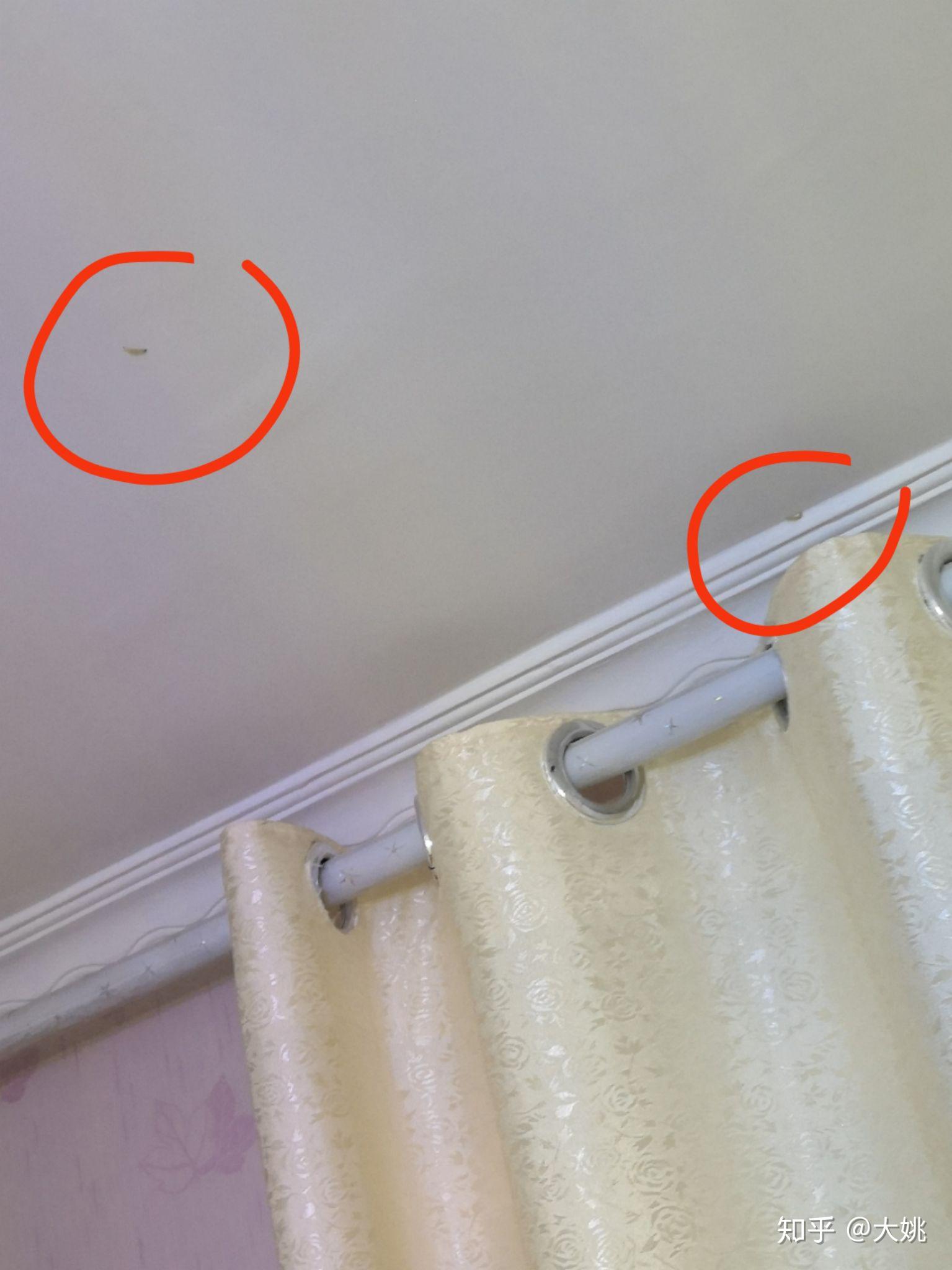 墙上天花板上有白色蠕动的虫子这是什么