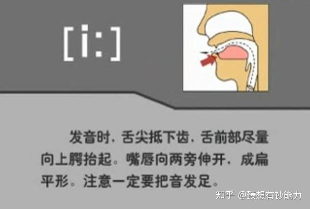 英语音素发音图解口形及发音方法 - 知乎
