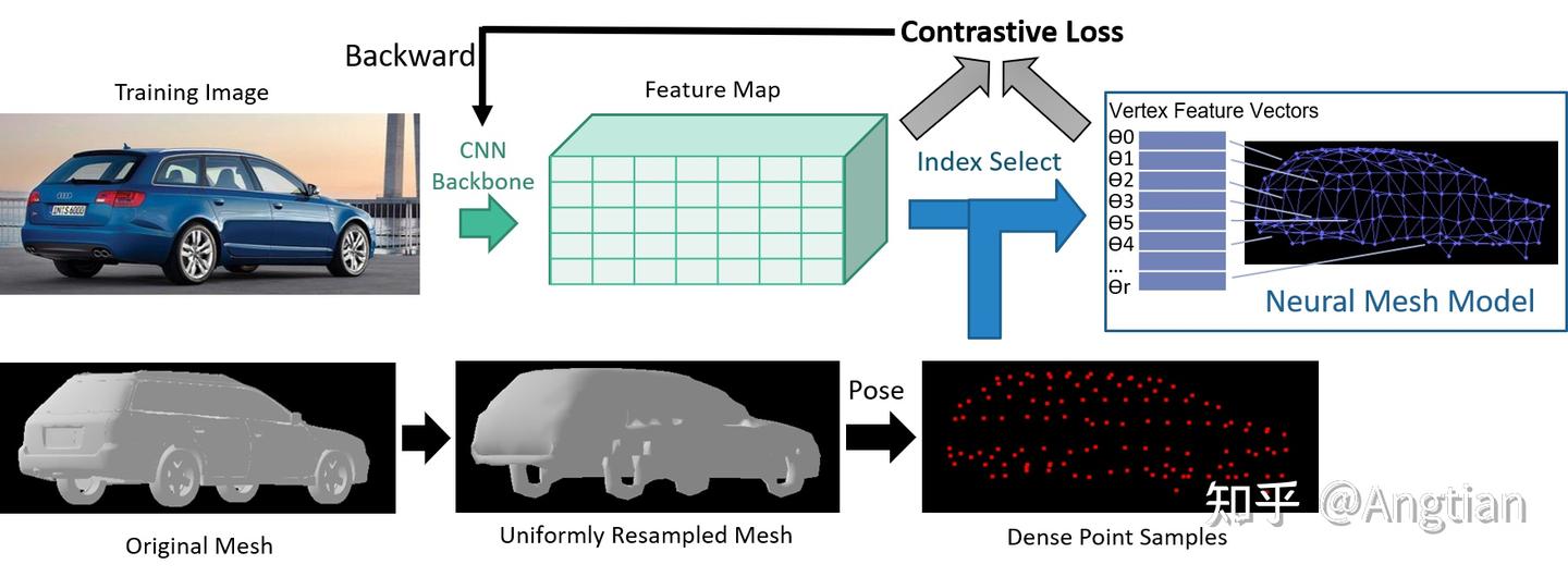 Nemo Modelling 文章介绍:NeMo: Neural Mesh Models of Contrastive Features for Robust 3D ...