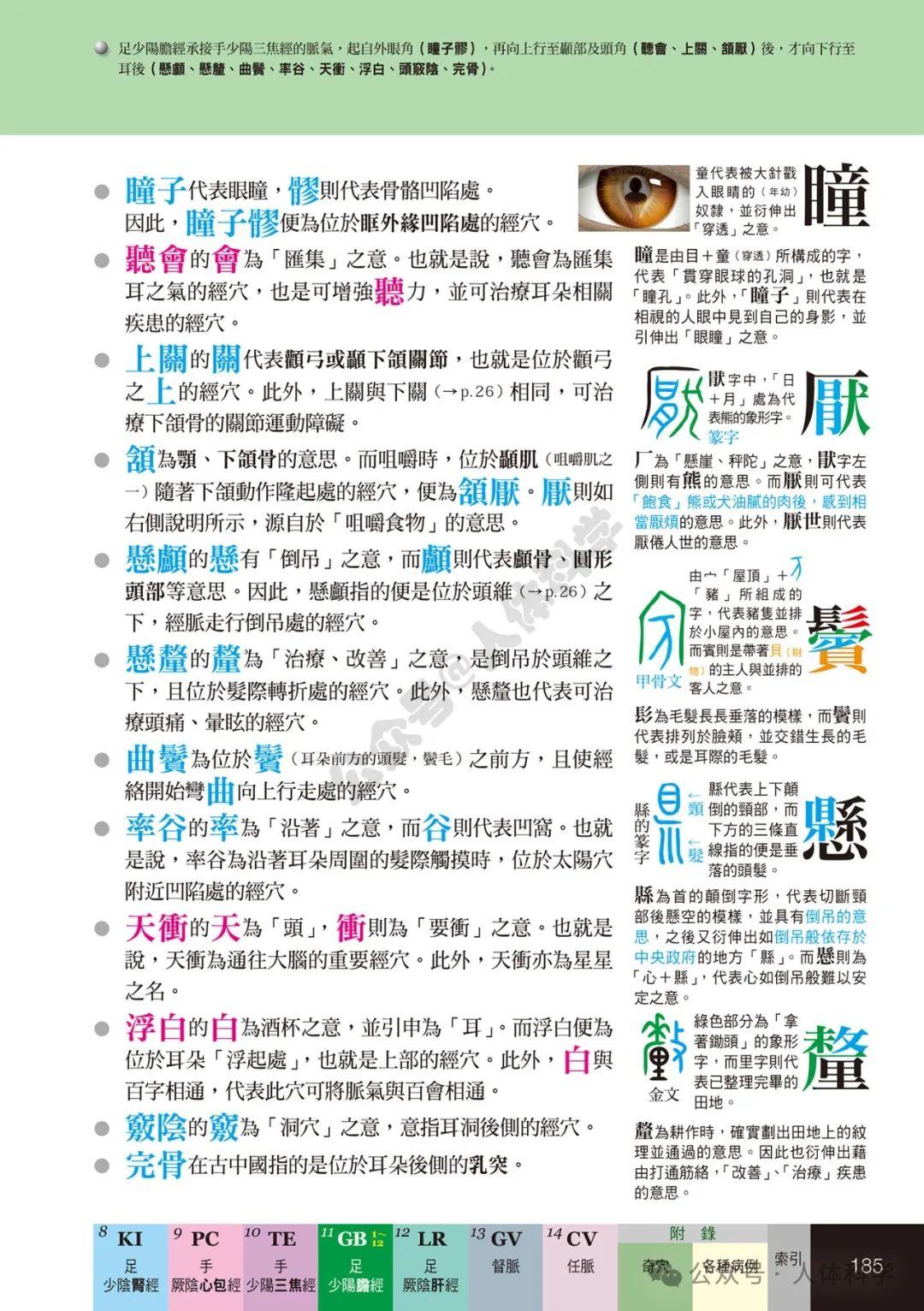 【经穴科学】中医解剖学全身穴位高清图示④ - 知乎