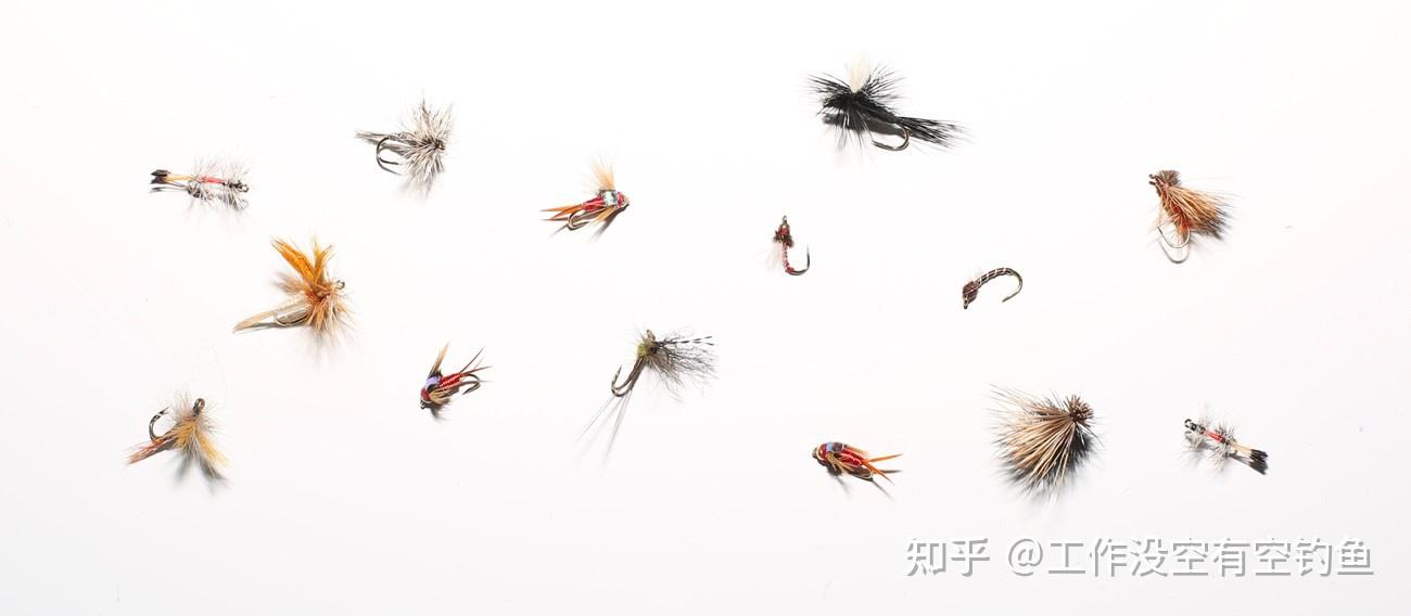 使用飞蝇钩钓鱼的技巧有什么呢? - 知乎