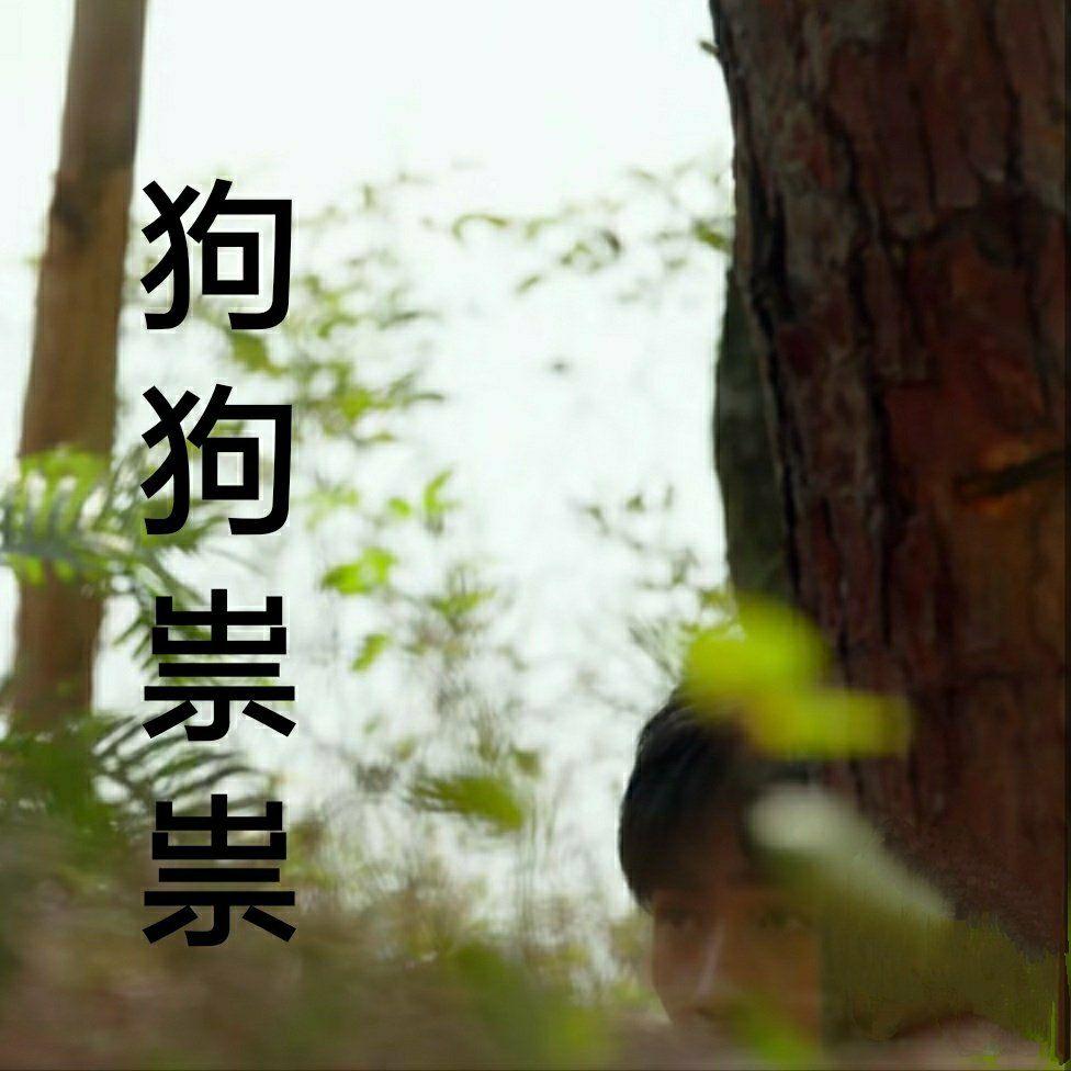 朱一龙的吴小狗重启吴邪有哪些有趣的表情包