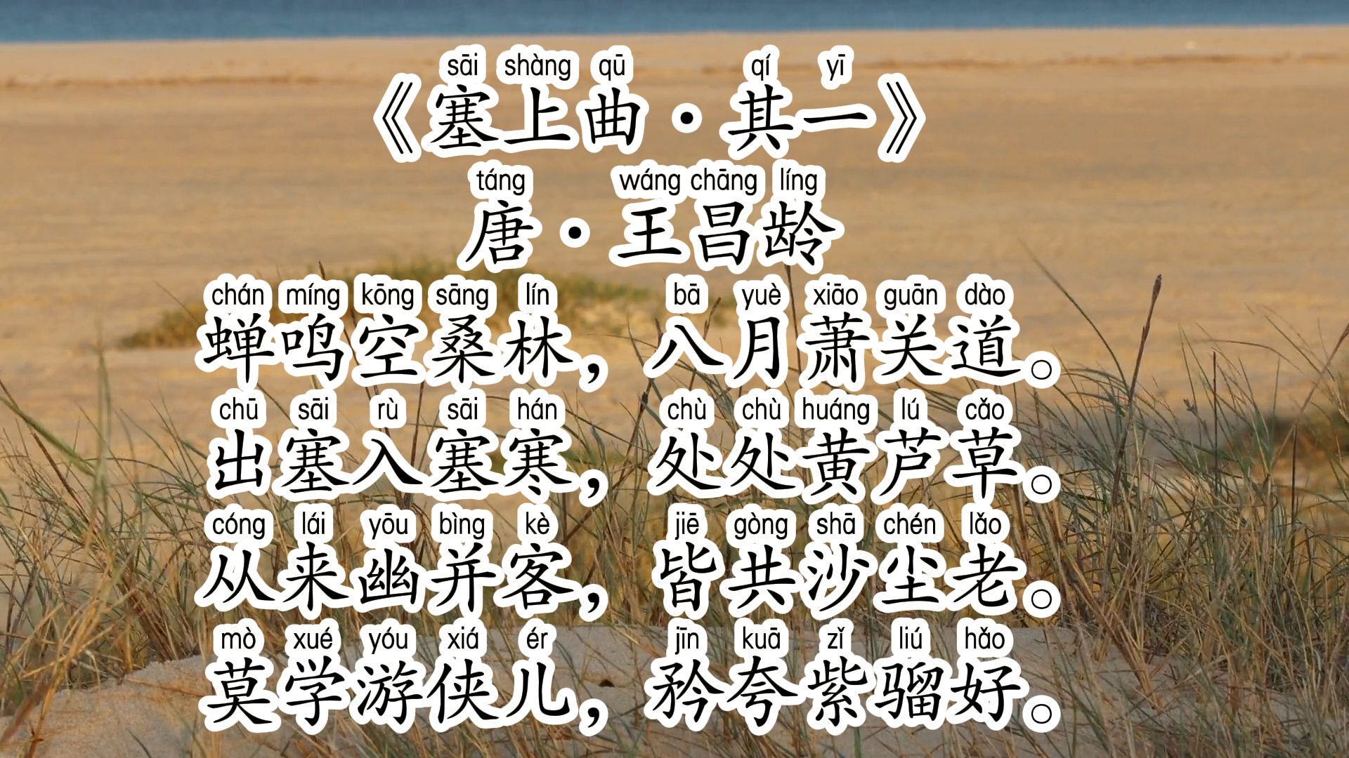 塞上曲其一唐王昌龄