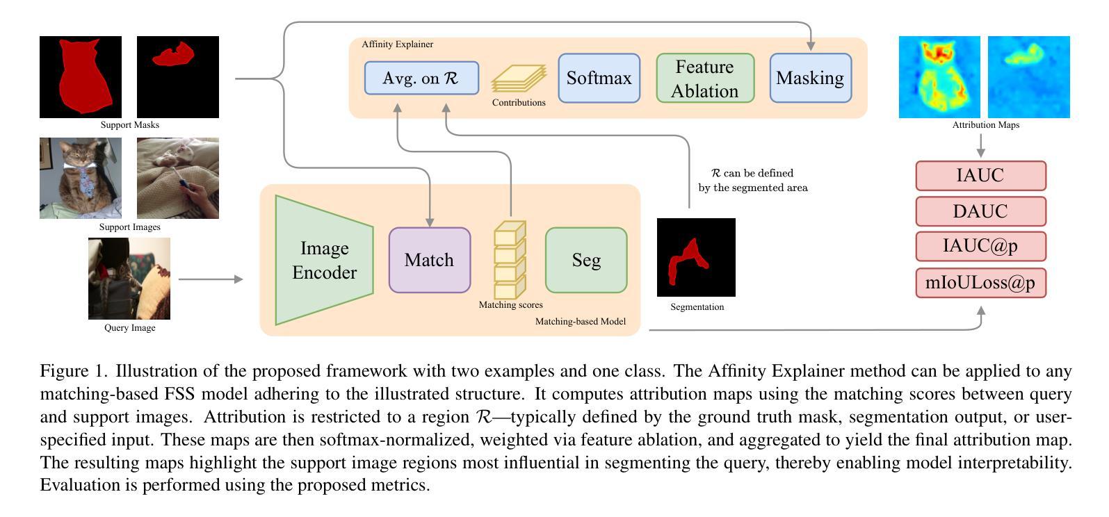 检测/分割/跟踪