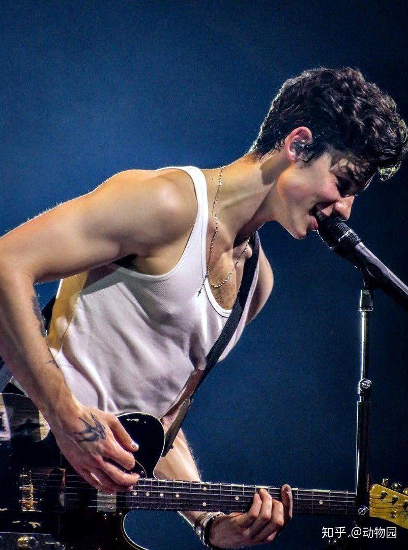 有没有萌德shawnmendes的高清壁纸鸭