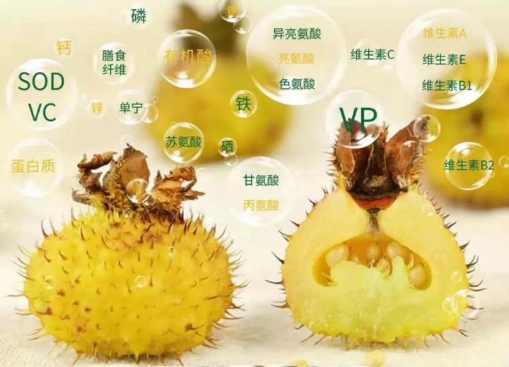 刺梨 - 知乎