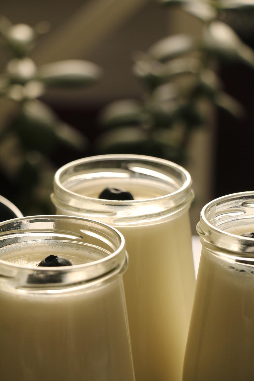 2. 奶粉酸奶比例