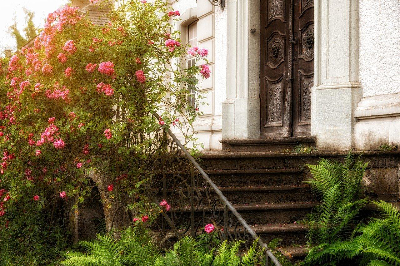 3. 病虫害枝条清除