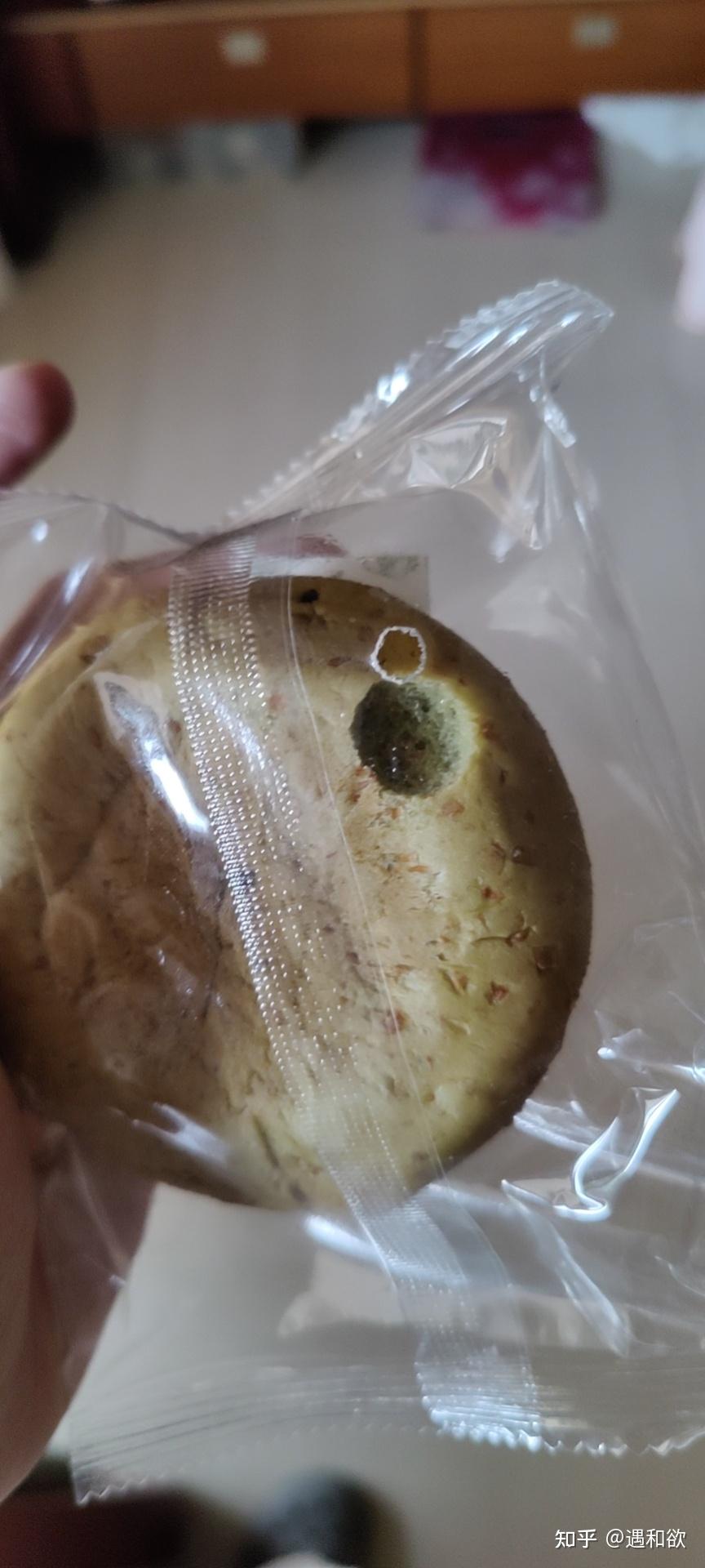 蟑螂可以咬破塑料袋吗
