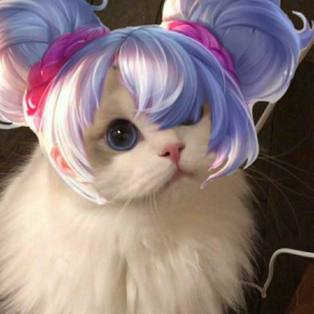 谁有王者荣耀五黑头像