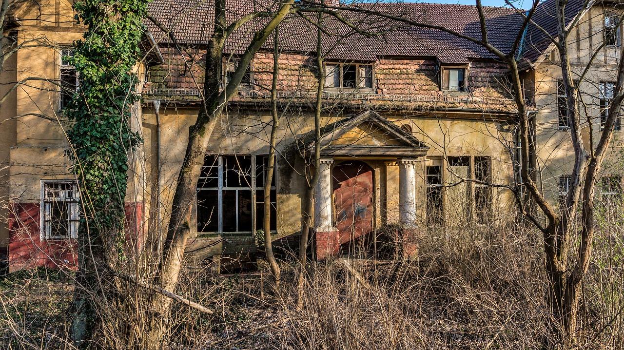 4. 上舍项目特色