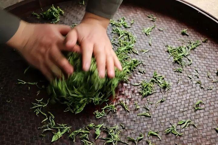 揉捻的目的 - 知乎
