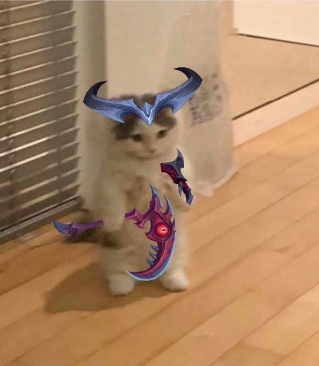 你都有哪些英雄联盟魔法猫咪的表情包